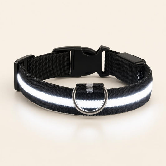 Correa y Collar Luminosos de Nylon para Perros LED