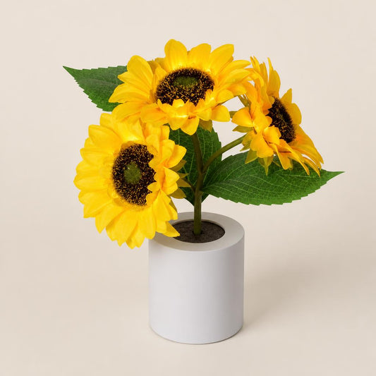 Lámpara De Noche Girasol Con LED, Recargable